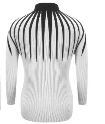 Slim Fit Women Knitted Turtleneck Sweaters