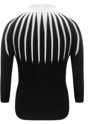 Slim Fit Women Knitted Turtleneck Sweaters