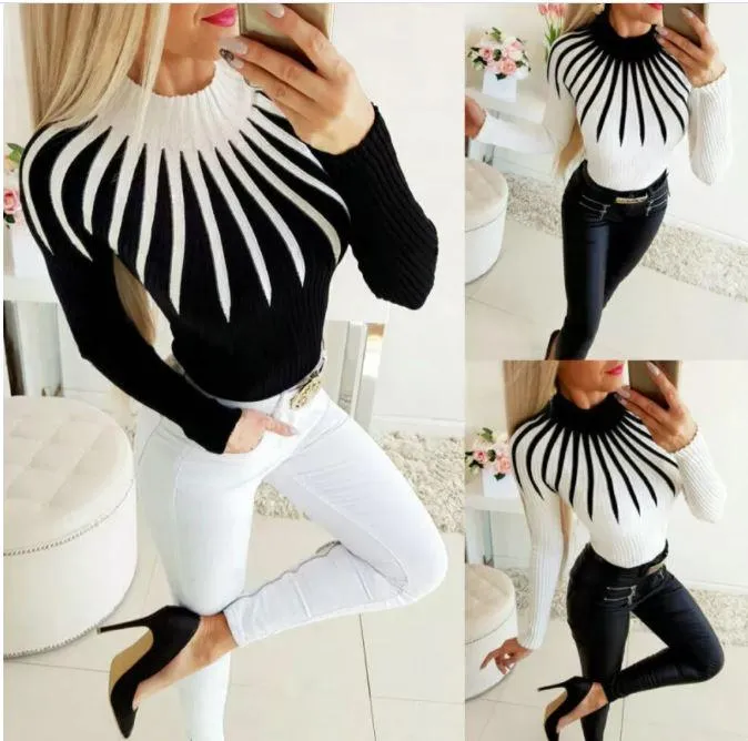 Slim Fit Women Knitted Turtleneck Sweaters
